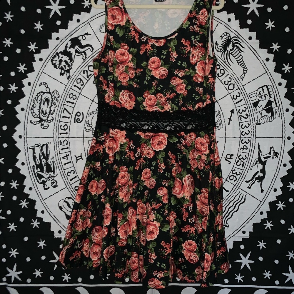 Deb Plus Size Floral Skater Dress